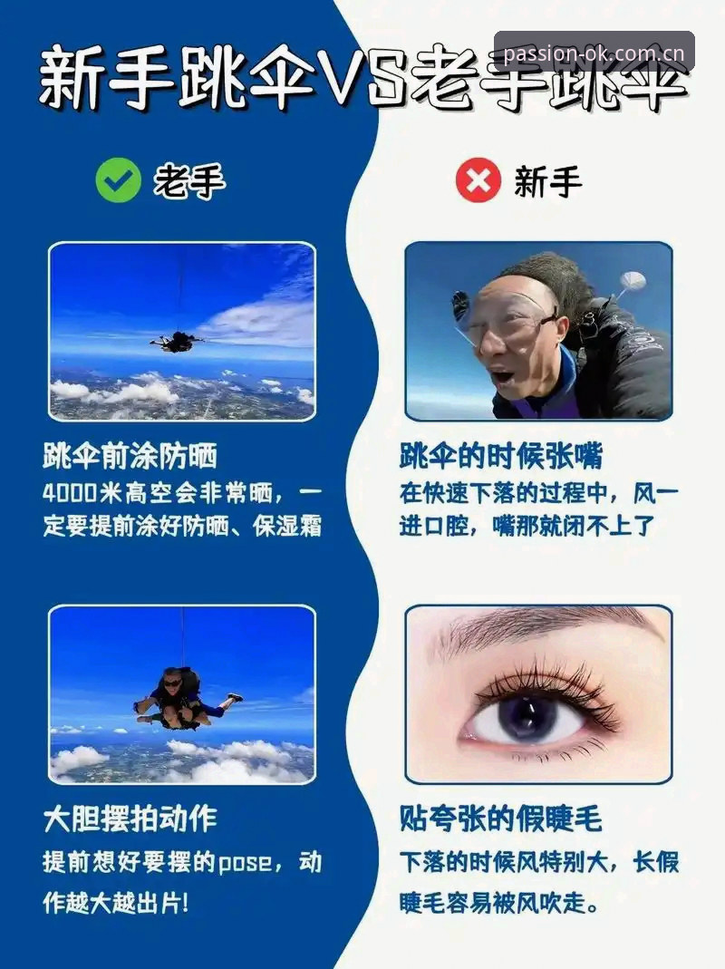OK体育新用户入门指南 vs. 行业老手进阶策略：全面对比与选择解析